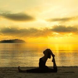 Perkinsgroupholdings